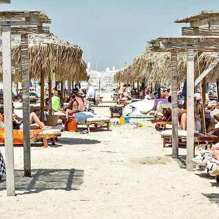 Party Mamaia